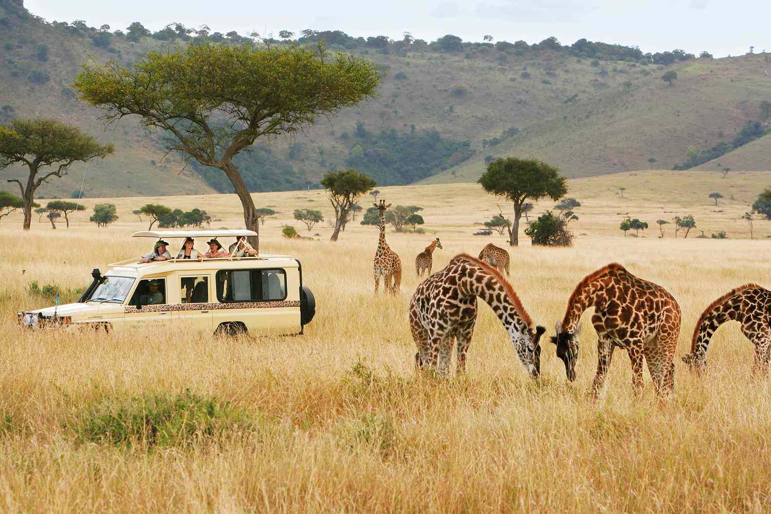 Kenya: un viaggio tra safari, parchi naturali e spiagge